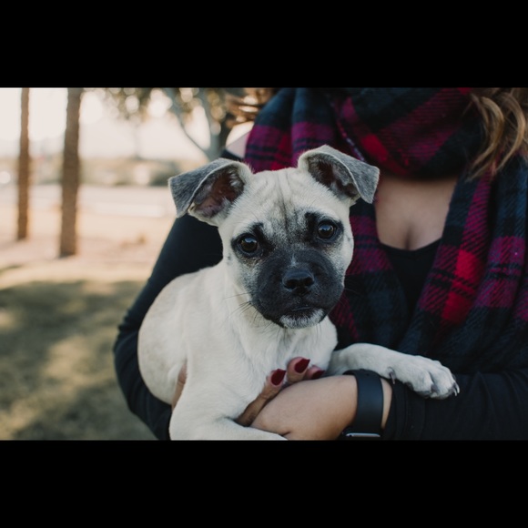 Meet your Posher - Picture 2 of 5